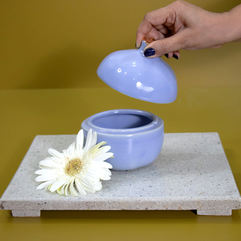 11ab35bf-1aed-4f00-89d3-1a7be129e0bc_176a159f-febb-4443-b47c-60f5661d60ca-4x